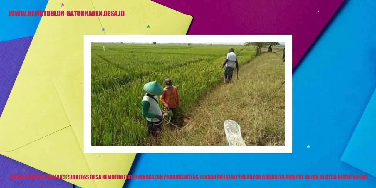 Infrastruktur dan Aksesibilitas Desa Kemutug Lor Peningkatan Produktivitas Ternak Melalui Penerapan Budidaya Rumput Gajah di desa kemutug lor