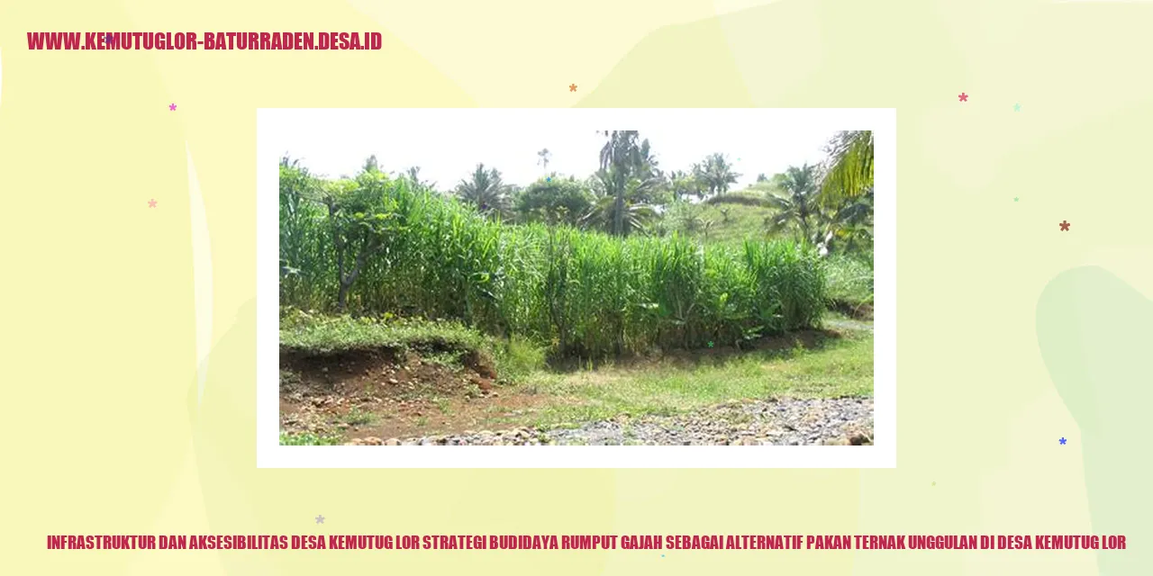 Infrastruktur dan Aksesibilitas Desa Kemutug Lor Strategi Budidaya Rumput Gajah sebagai Alternatif Pakan Ternak Unggulan di Desa Kemutug Lor