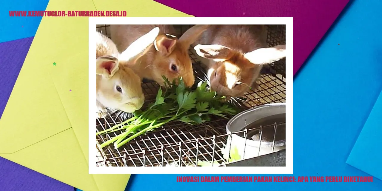 Inovasi dalam Pemberian Pakan Kelinci