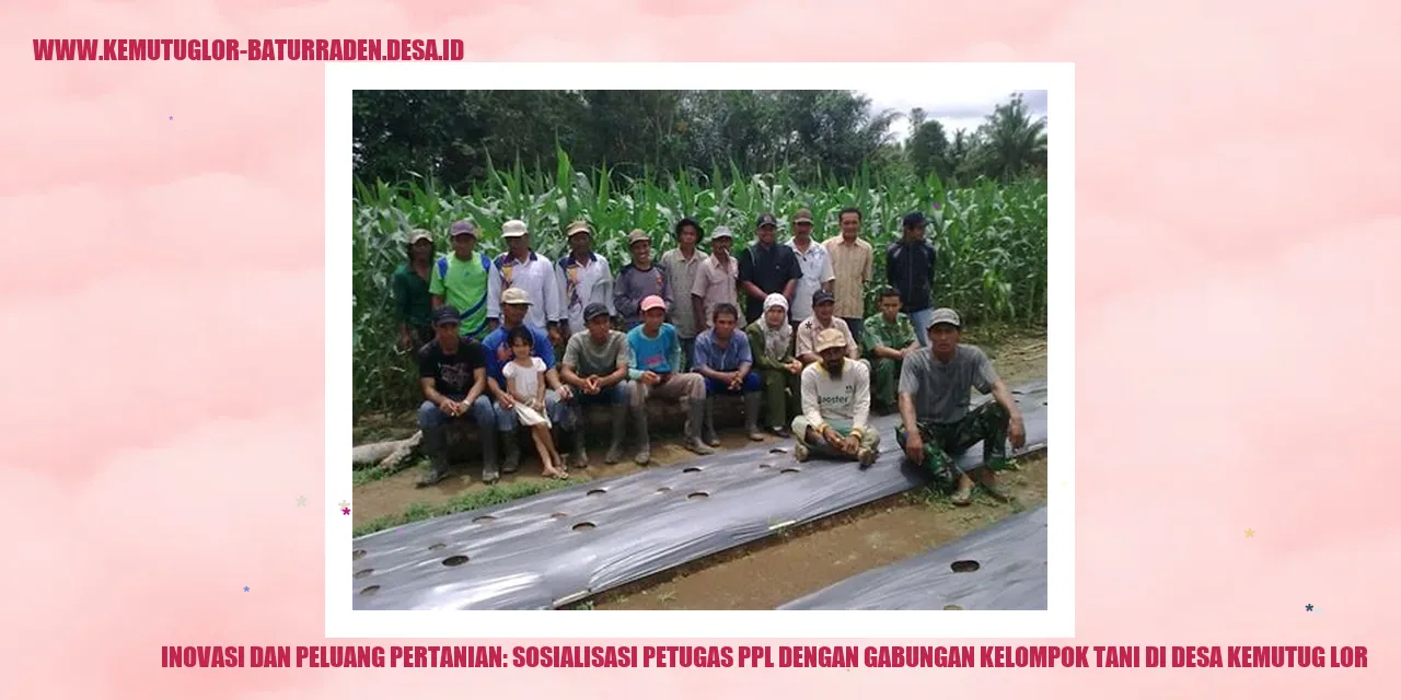 Gambar Pertanian