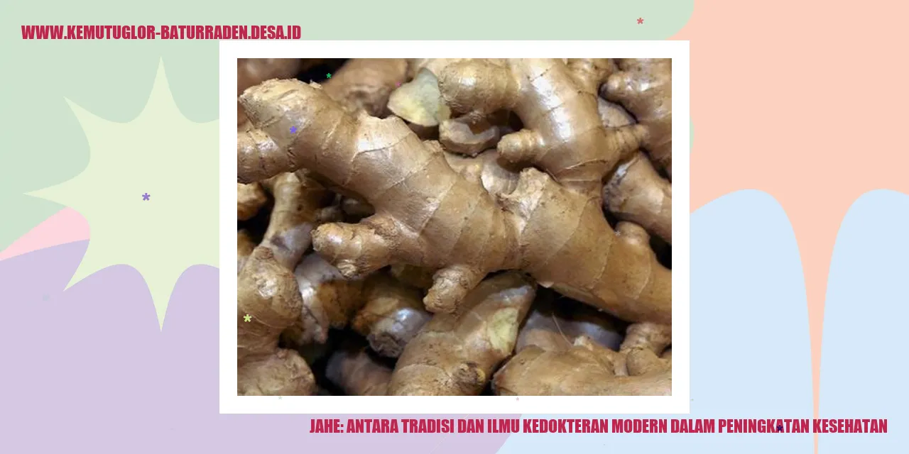 Jahe: Antara Tradisi dan Ilmu Kedokteran Modern dalam Peningkatan Kesehatan