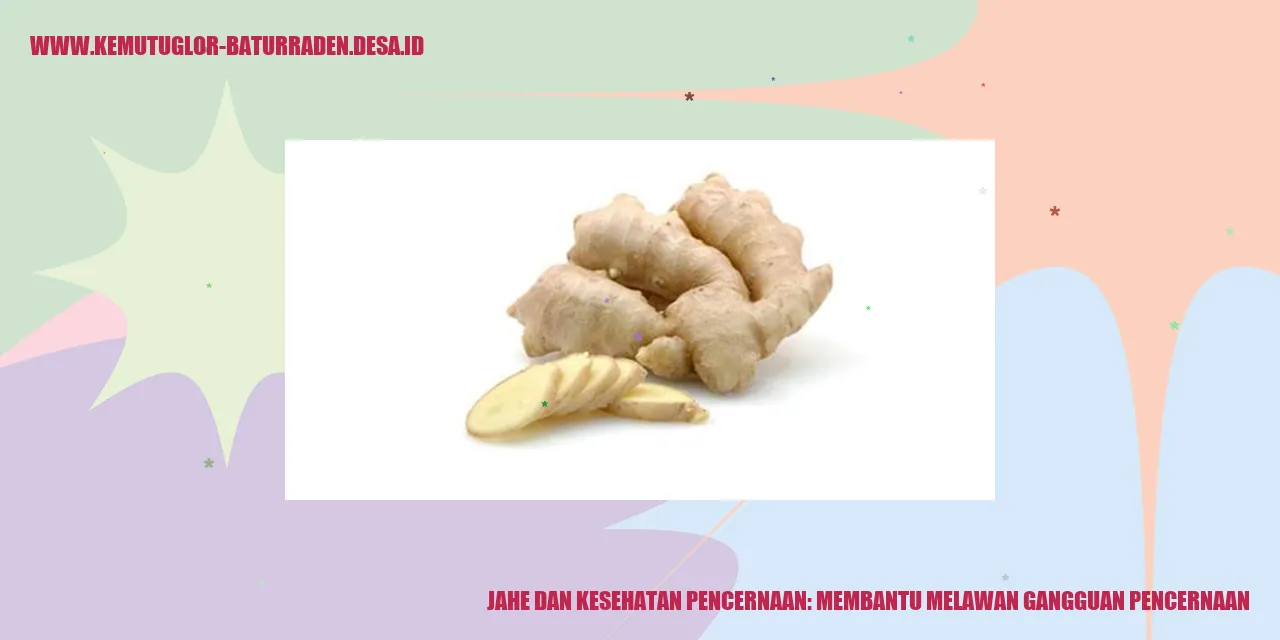 Jahe dan Masalah Lambung