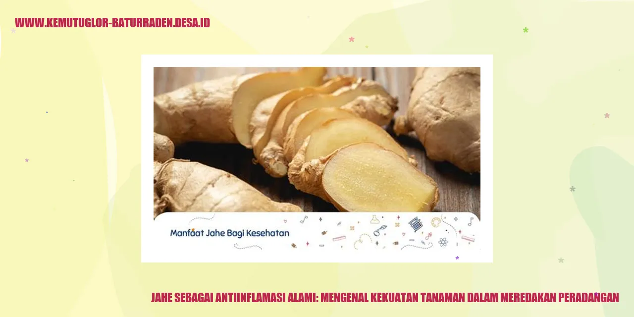 Jahe untuk mengurangi nyeri sendi