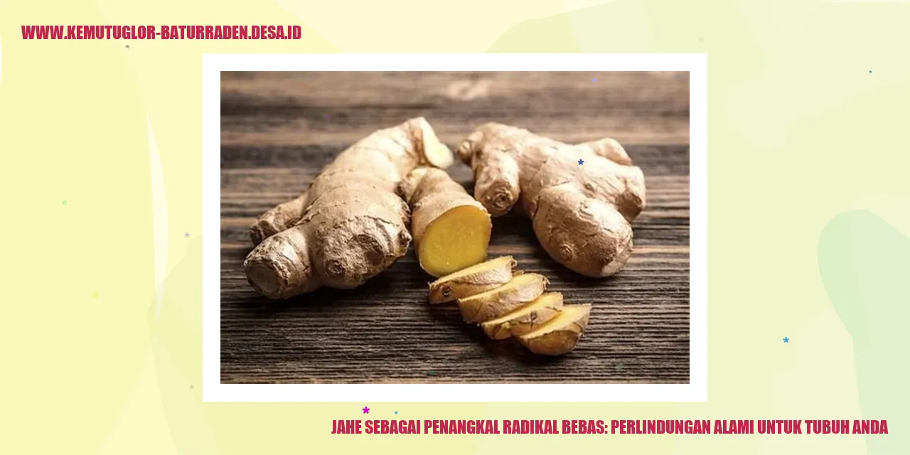 Jahe sebagai Penangkal Radikal Bebas: Perlindungan Alami untuk Tubuh Anda