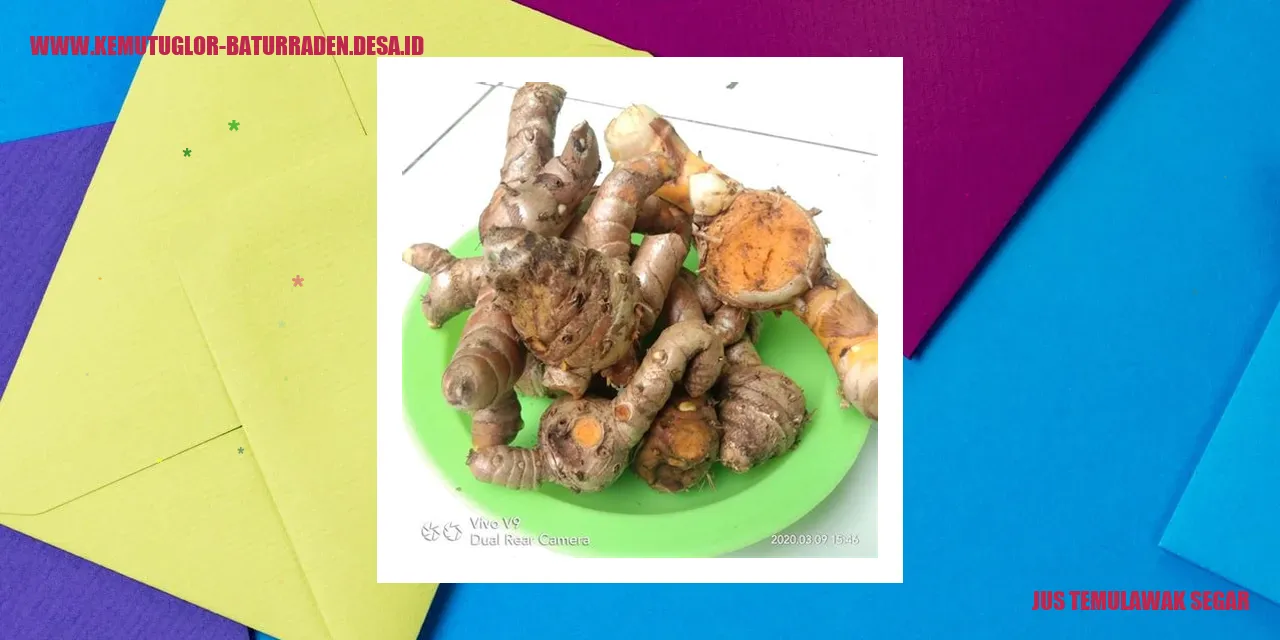 Jus Temulawak Segar