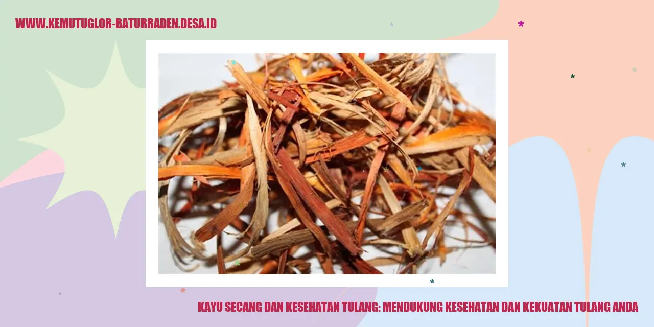 Kayu Secang dan Kesehatan Tulang: Mendukung Kesehatan dan Kekuatan Tulang Anda