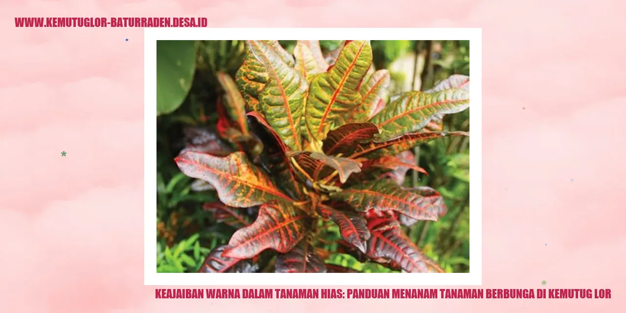 Tanaman Berbunga di Kemutug Lor