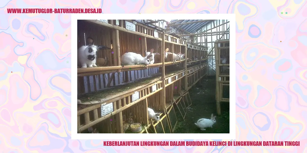 Budidaya Kelinci di Lingkungan Dataran Tinggi