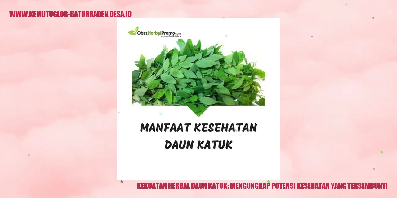 Daun Katuk