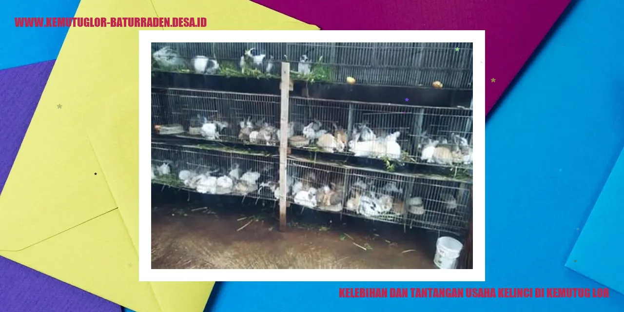 Kelebihan dan Tantangan Usaha Kelinci di Kemutug Lor