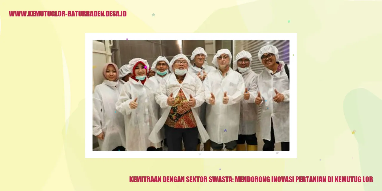 Kemitraan dengan Sektor Swasta: Mendorong Inovasi Pertanian di Kemutug Lor
