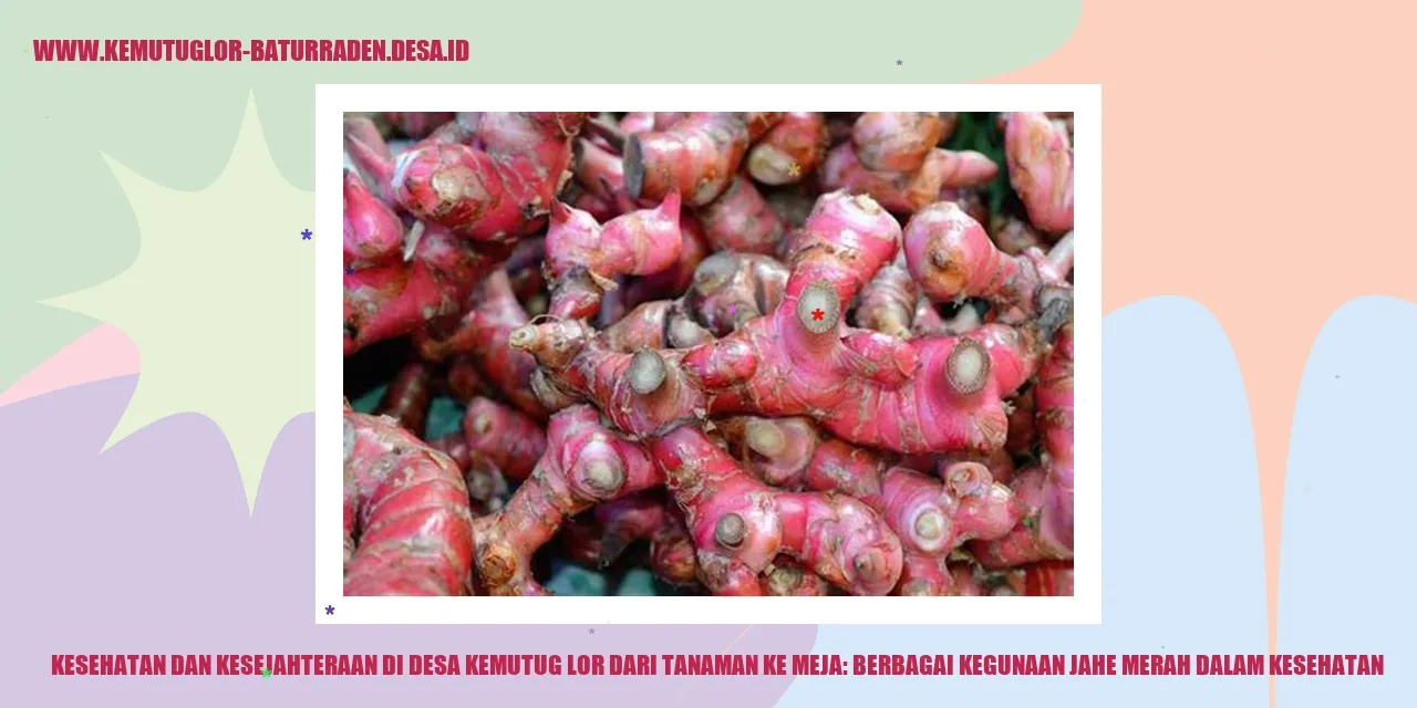 gambar jahe merah