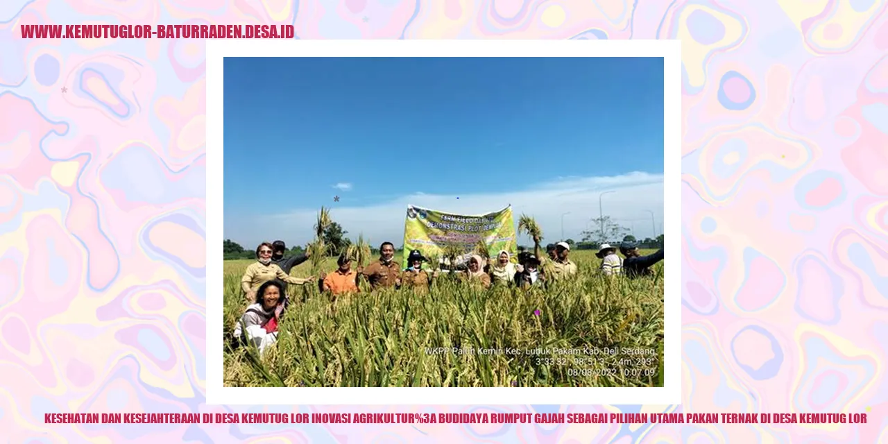 Kesehatan dan Kesejahteraan di Desa Kemutug Lor Inovasi Agrikultur: Budidaya Rumput Gajah sebagai Pilihan Utama Pakan Ternak di Desa Kemutug Lor