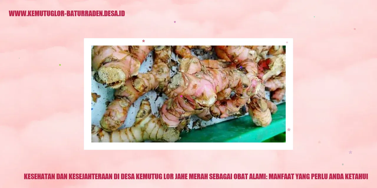 Gambar Jahe Merah