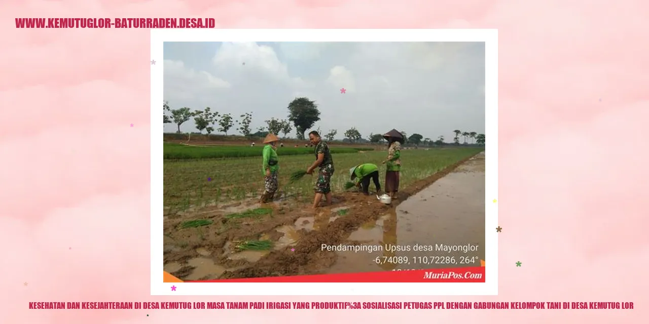 Kesehatan dan Kesejahteraan di Desa Kemutug Lor