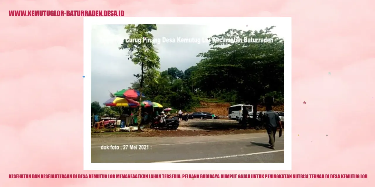 Rumput Gajah