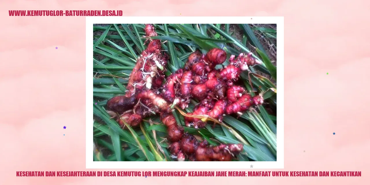 Keajaiban Jahe Merah