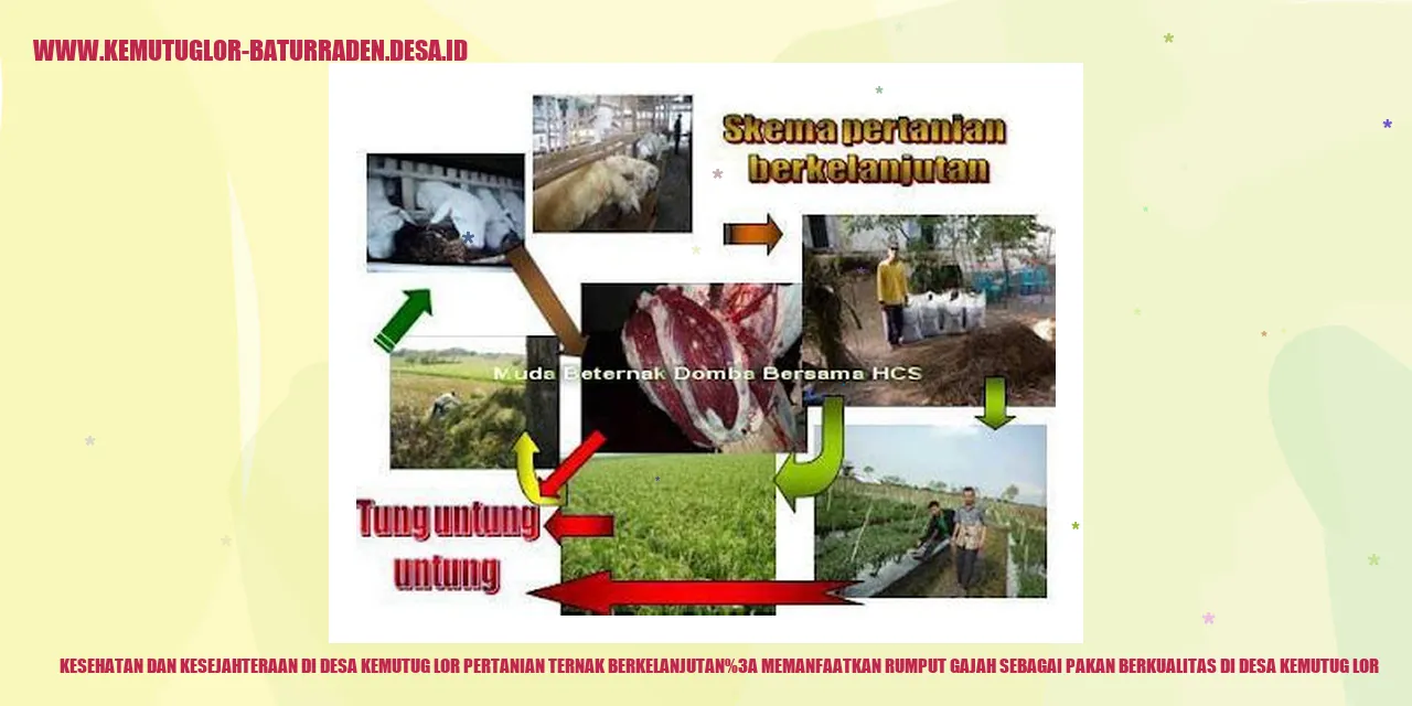 Kesehatan dan Kesejahteraan di Desa Kemutug Lor Pertanian Ternak Berkelanjutan: Memanfaatkan Rumput Gajah sebagai Pakan Berkualitas di desa kemutug lor