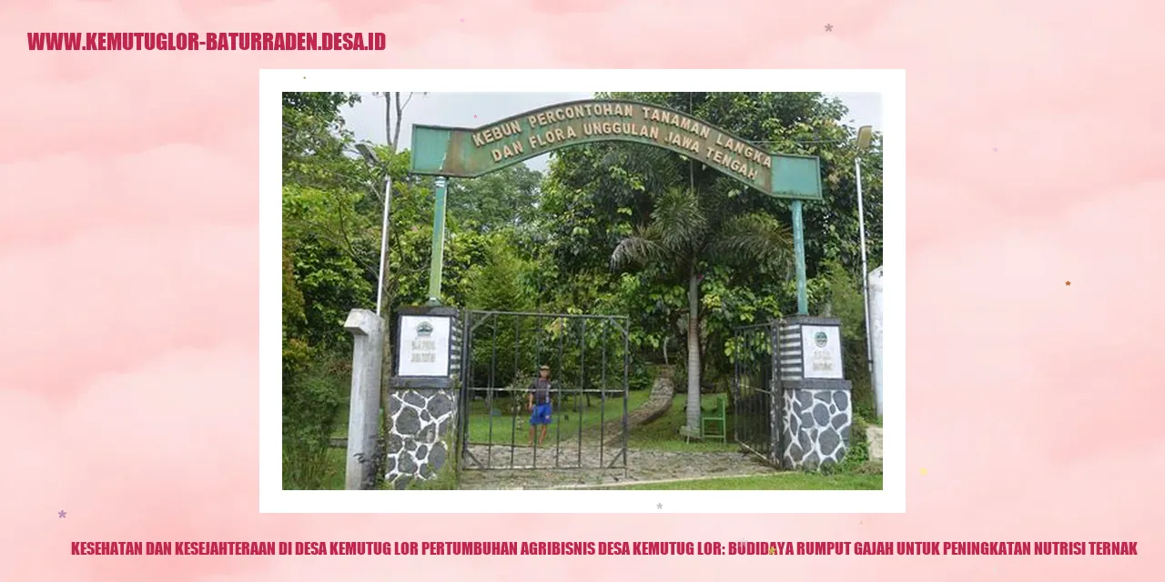 Kesehatan dan Kesejahteraan di Desa Kemutug Lor Pertumbuhan Agribisnis desa Kemutug Lor: Budidaya Rumput Gajah untuk Peningkatan Nutrisi Ternak