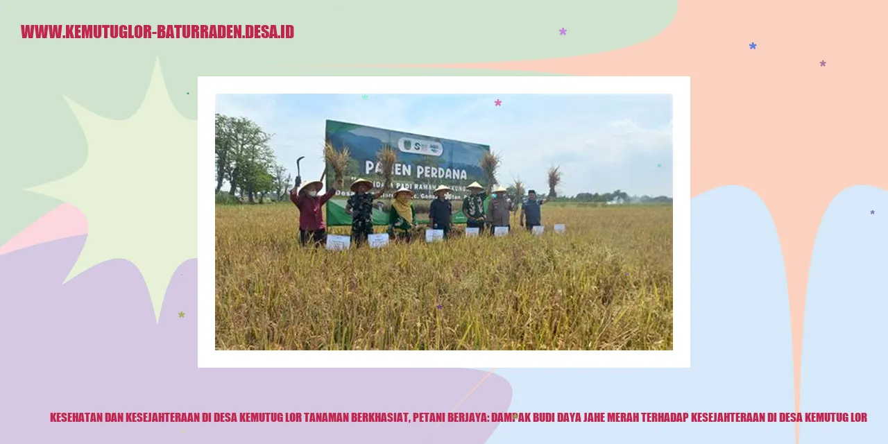 Gambar Jahe Merah di Desa Kemutug Lor
