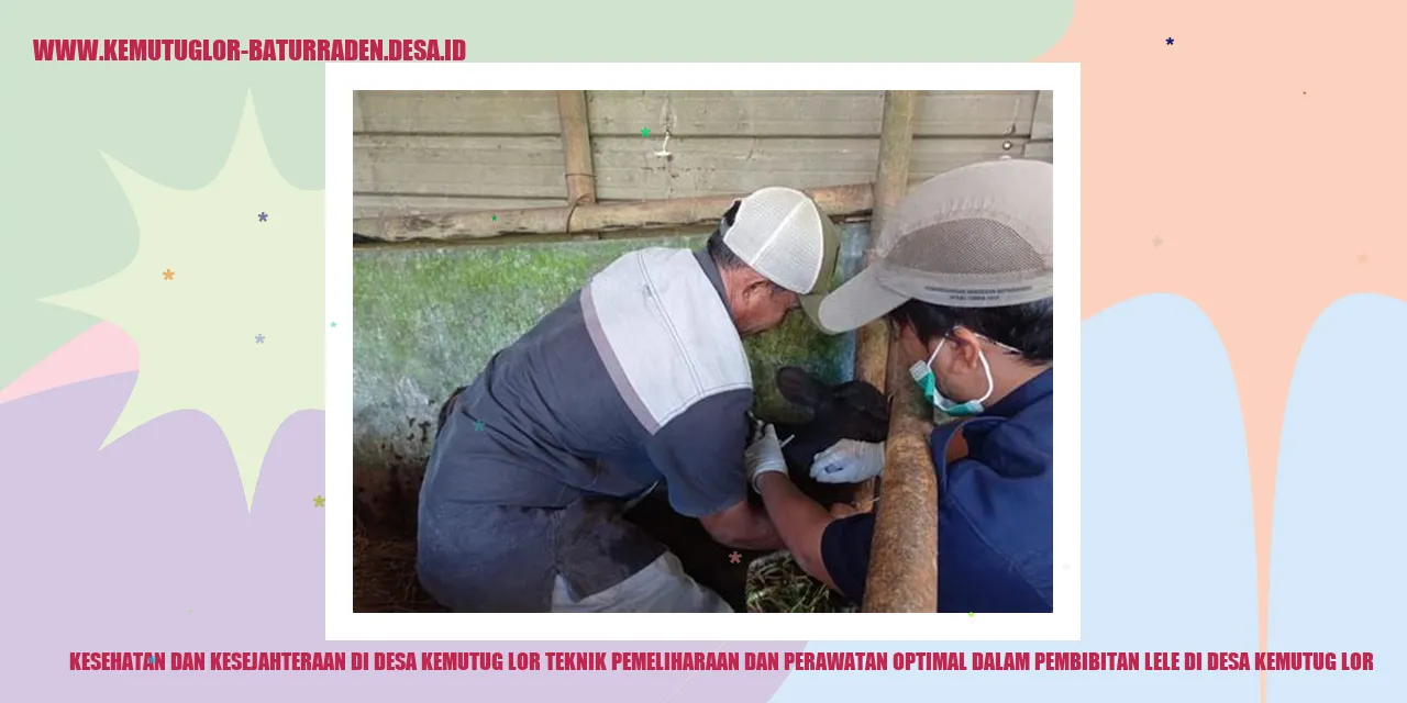 Gambar Pembibitan Lele di Desa Kemutug Lor