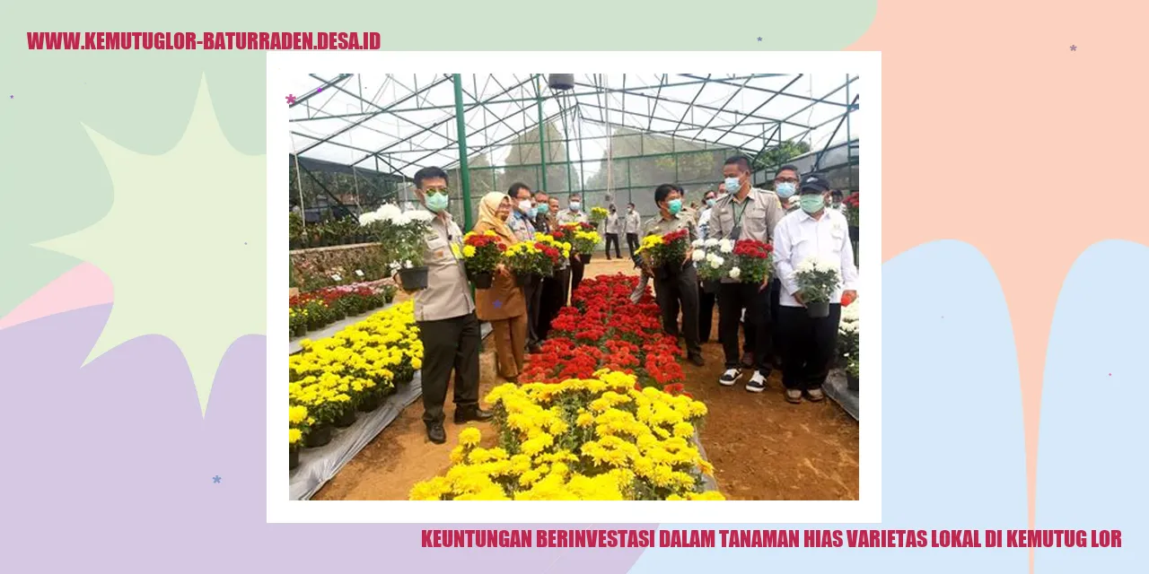 Tanaman Hias Varietas Lokal di Kemutug Lor