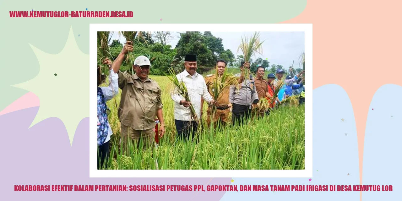 Kolaborasi Efektif dalam Pertanian