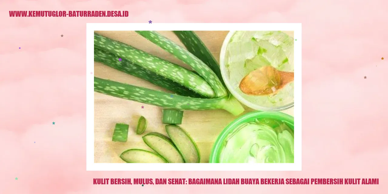 Lidah Buaya