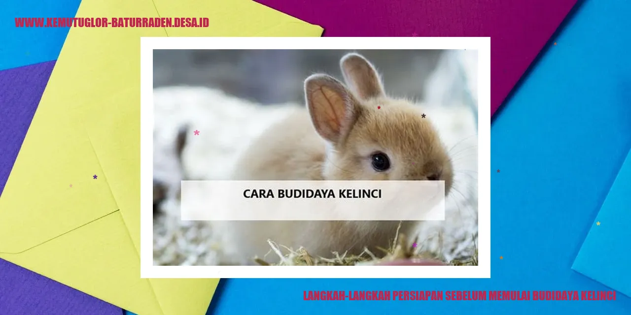 budidaya kelinci