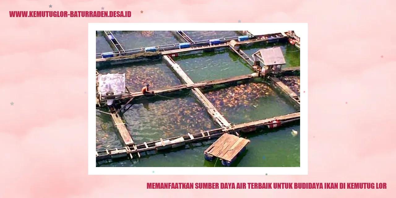 Memanfaatkan Sumber Daya Air Terbaik untuk Budidaya Ikan di Kemutug Lor