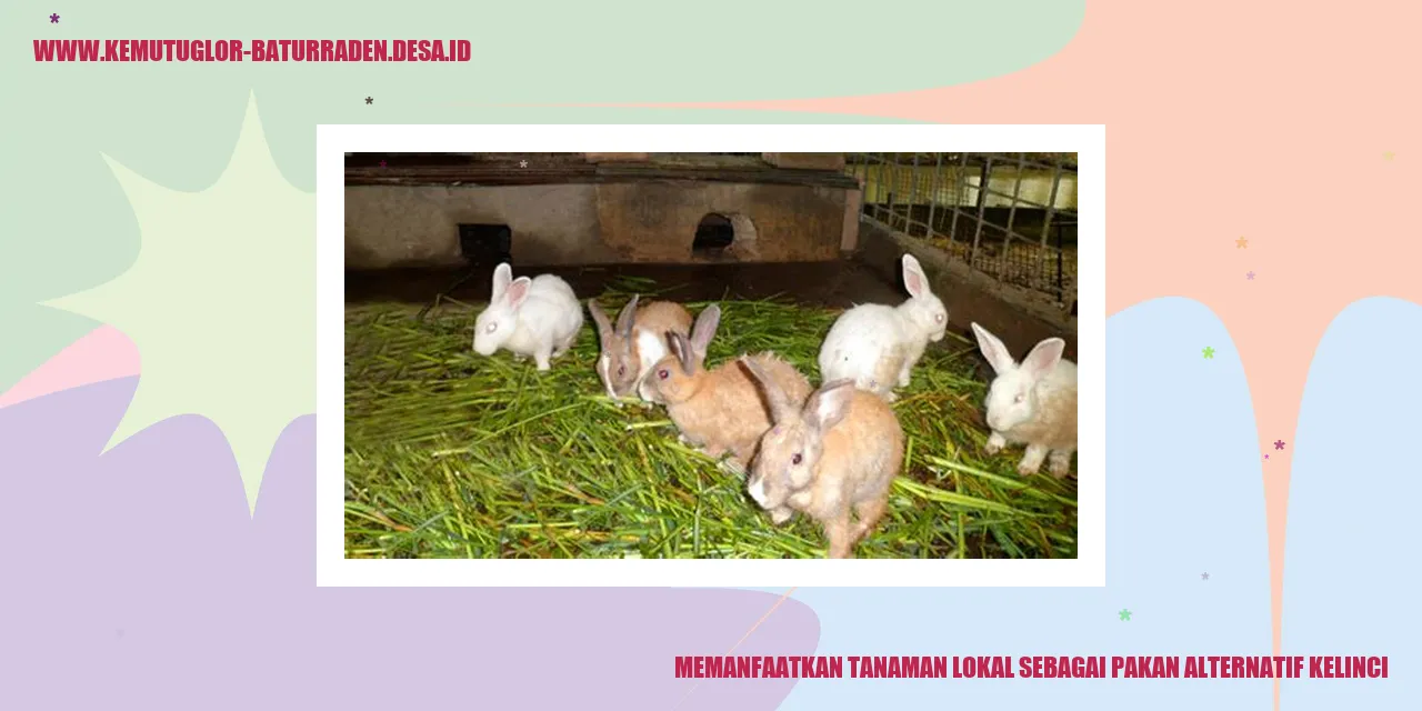Rumput Gajah Mini