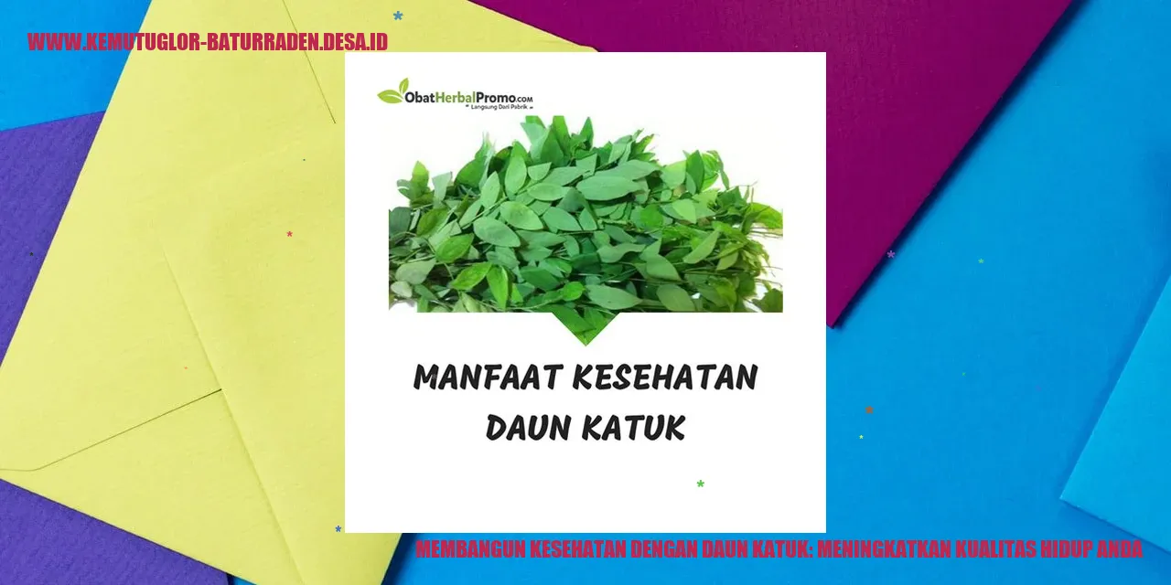 Daun Katuk