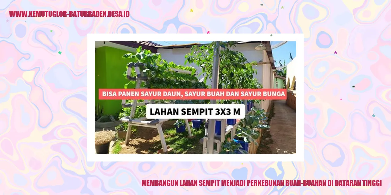 Perkebunan Buah-Buahan di Dataran Tinggi