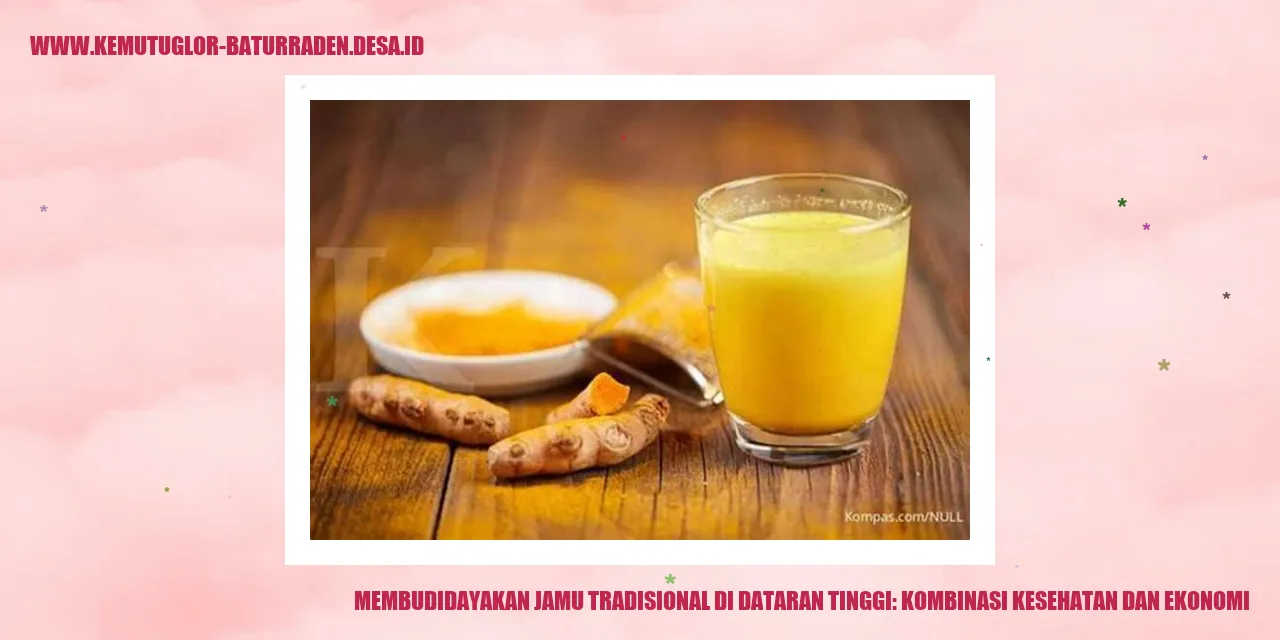 Jamu Tradisional