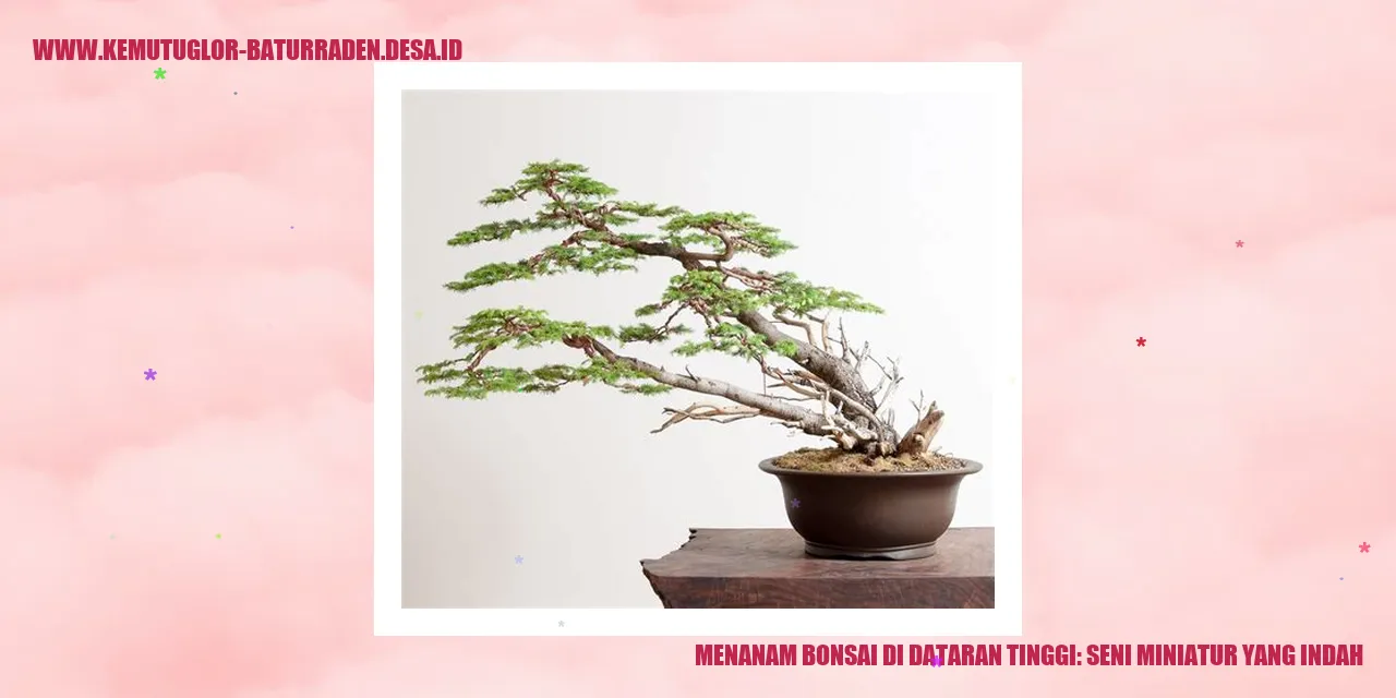 Menanam Bonsai di Dataran Tinggi: Seni Miniatur yang Indah