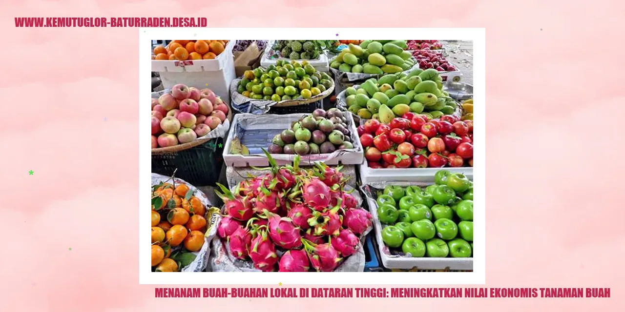 Buah-buahan lokal di dataran tinggi