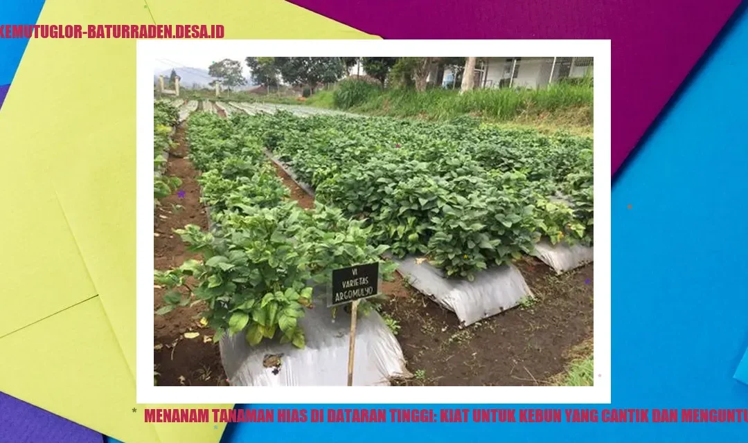 Menanam Tanaman Hias di Dataran Tinggi: Kiat untuk Kebun yang Cantik dan Menguntungkan