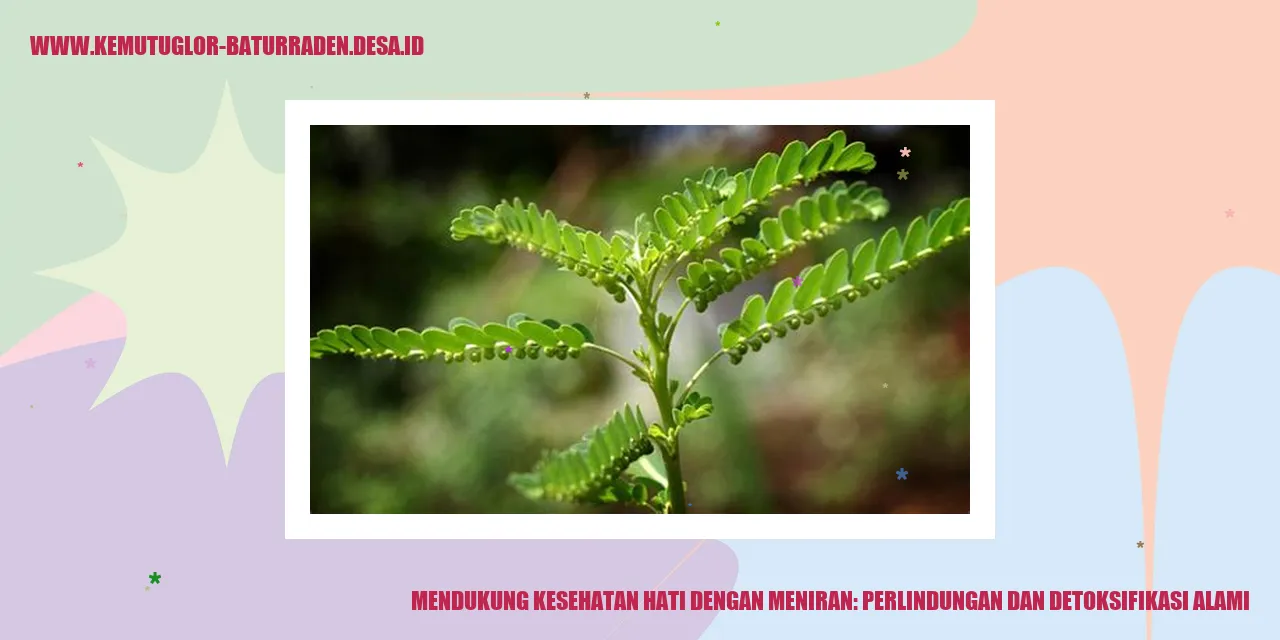 Meniran