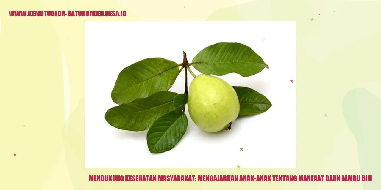 Daun Jambu Biji