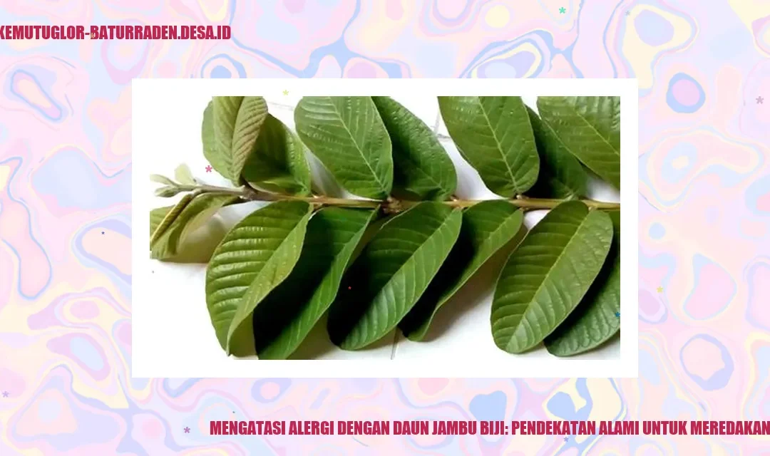 Mengatasi Alergi dengan Daun Jambu Biji: Pendekatan Alami untuk Meredakan Gejala