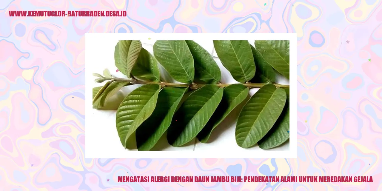 Alergi dengan Daun Jambu Biji