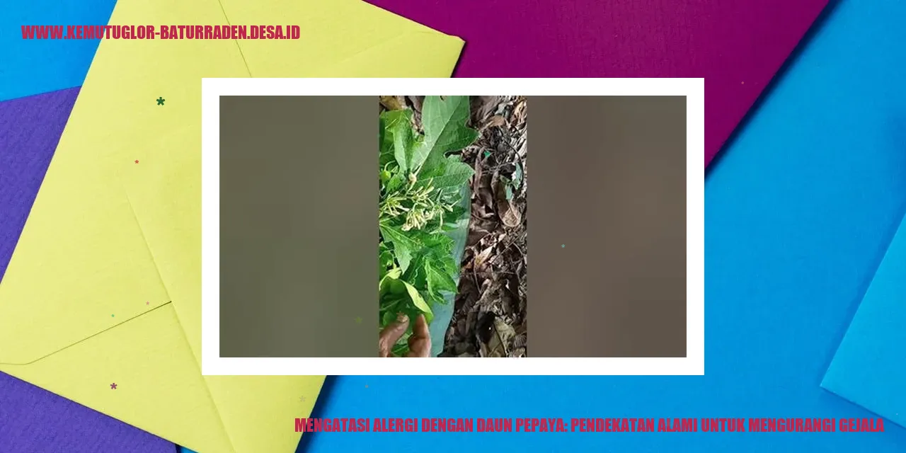 Mengatasi Alergi dengan Daun Pepaya: Pendekatan Alami untuk Mengurangi Gejala