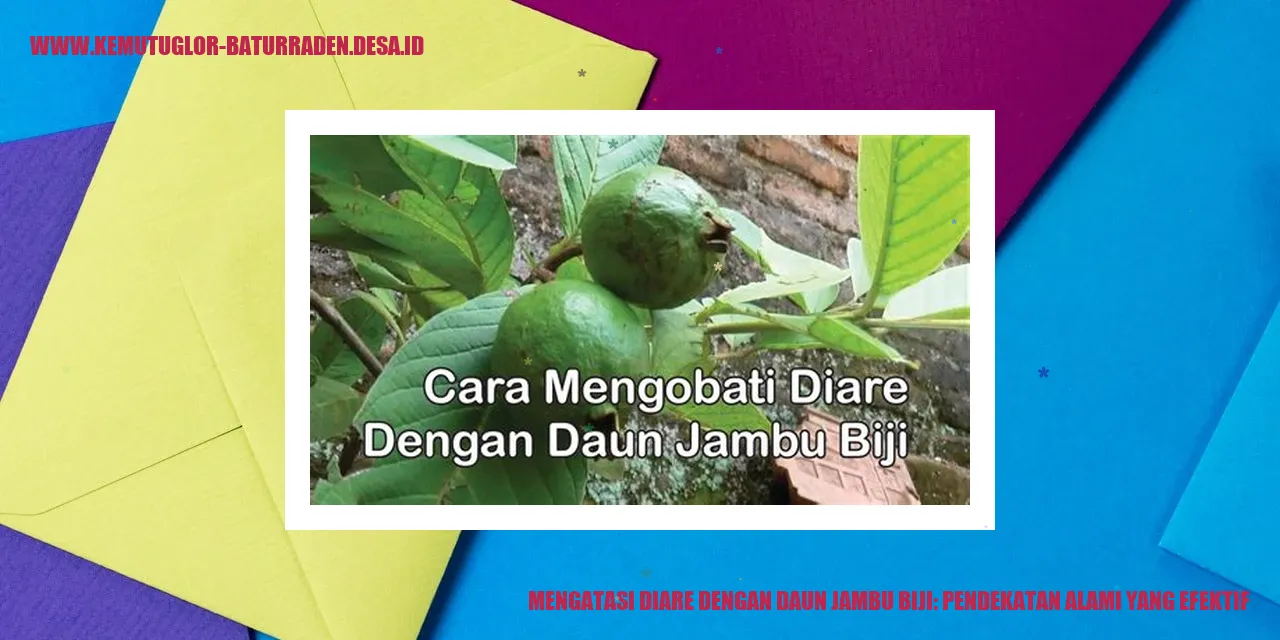 Daun Jambu Biji