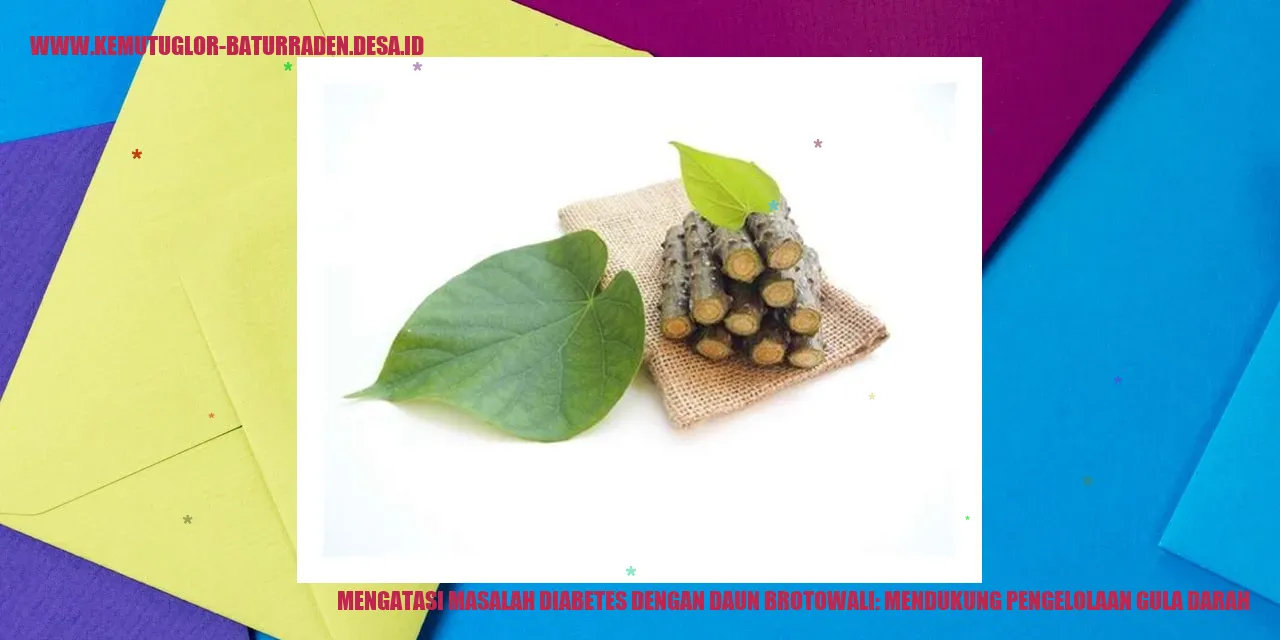 Daun Brotowali
