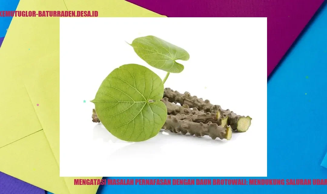 Mengatasi Masalah Pernafasan dengan Daun Brotowali: Mendukung Saluran Udara Anda
