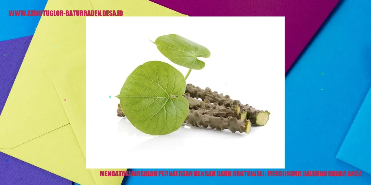 Gambar Daun Brotowali