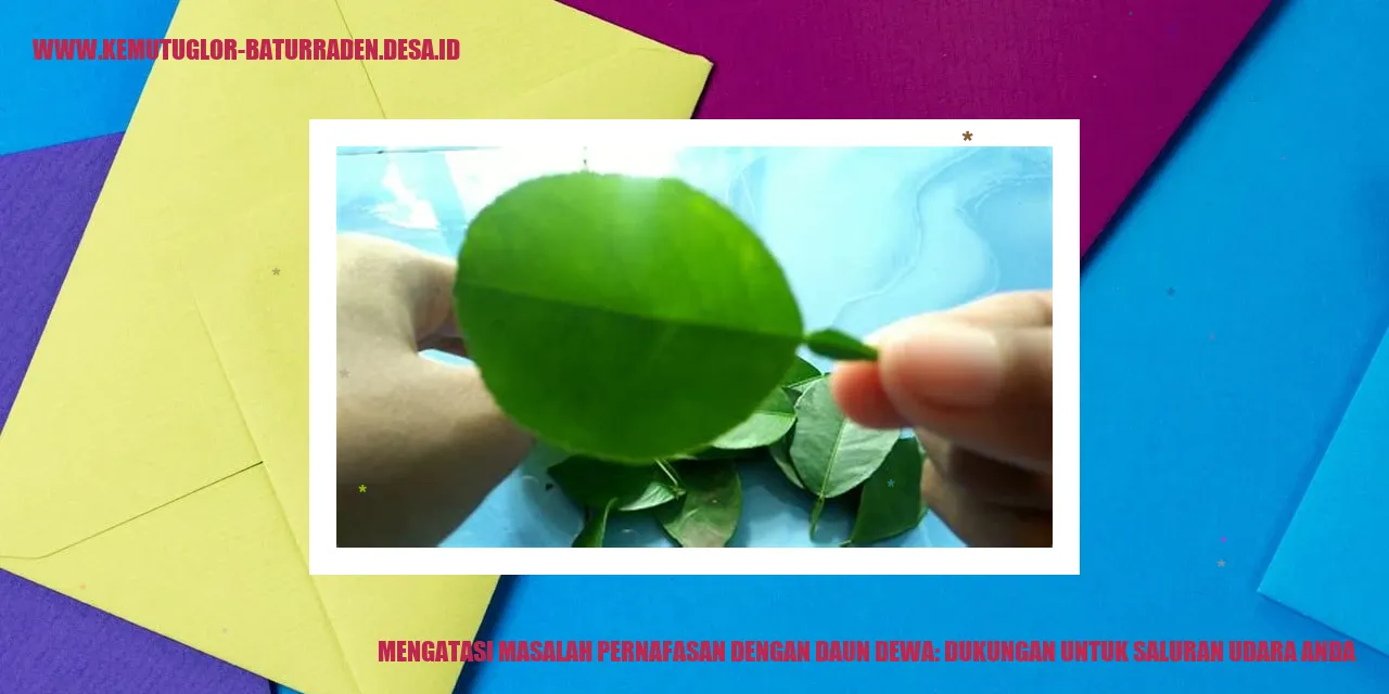 Mengatasi Masalah Pernafasan dengan Daun Dewa: Dukungan untuk Saluran Udara Anda