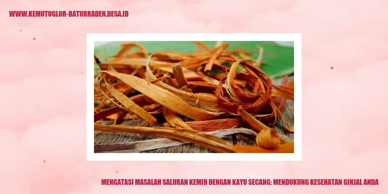 Kayu Secang: Mendukung Kesehatan Ginjal Anda