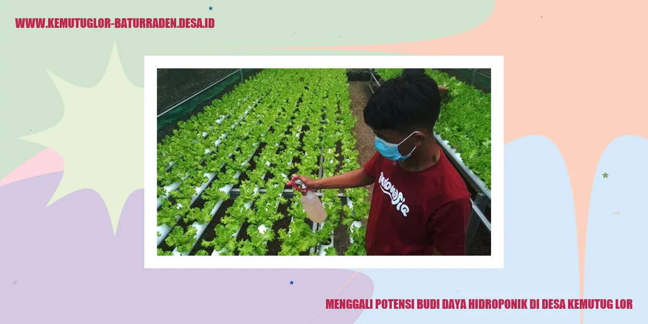 Potensi Budi Daya Hidroponik di Desa Kemutug Lor