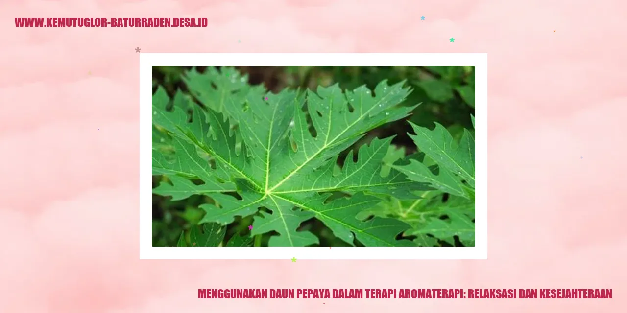 Menggunakan Daun Pepaya dalam Terapi Aromaterapi: Relaksasi dan Kesejahteraan